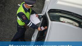 Что делать, если вынесли штраф