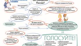 Что не устанавливает избирательная комиссия в Столплит