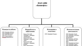 Что нового по акциям «Башнефти»: обзор ситуации в Столплит