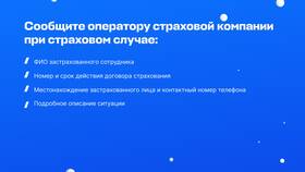 Что нужно для страховой компании в Столплит