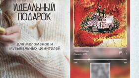 Что писать в данные товара на PlayerOk в Столплит