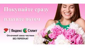 Что такое сплит-оплата в Столплит