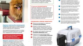 Как перевезти собаку поездом РЖД в Столплит