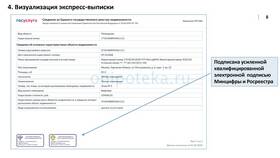 Как проверить подлинность выписки из ЕГРН в Столплит