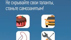 Как учитывать доход самозанятому в Столплит