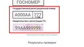 Как узнать штрафы ООО в Столплит