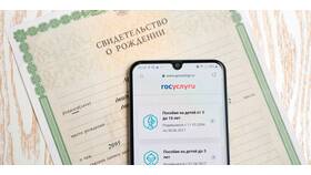 Как внести СНИЛС ребенка в Госуслуги в Столплит