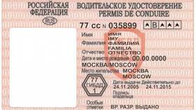 Как восстановить права в ГИБДД в Столплит