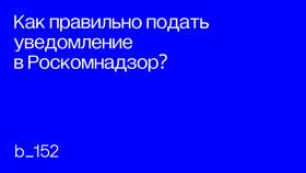 Как заполнить уведомление в Роскомнадзор через Госуслуги в Столплит