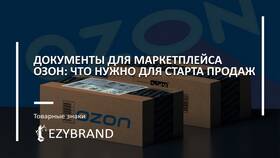 Ozon или Wildberries: что лучше для продавца в Столплит