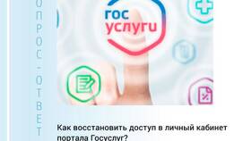 Почему не вводится пароль на Госуслугах в Столплит
