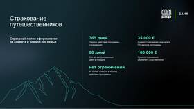 Страховка Гуру: обзор сервиса
