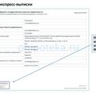 Как проверить подлинность выписки из ЕГРН